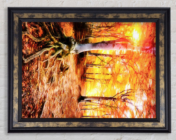 Golden Tre Walk Framed Print