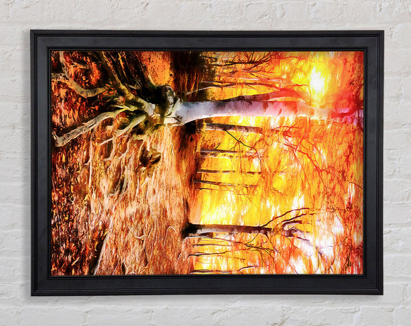 Golden Tre Walk Framed Print