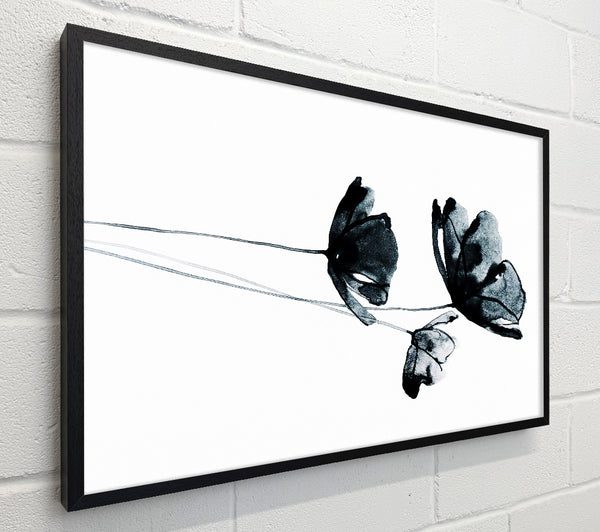 Black Poppy Abstract