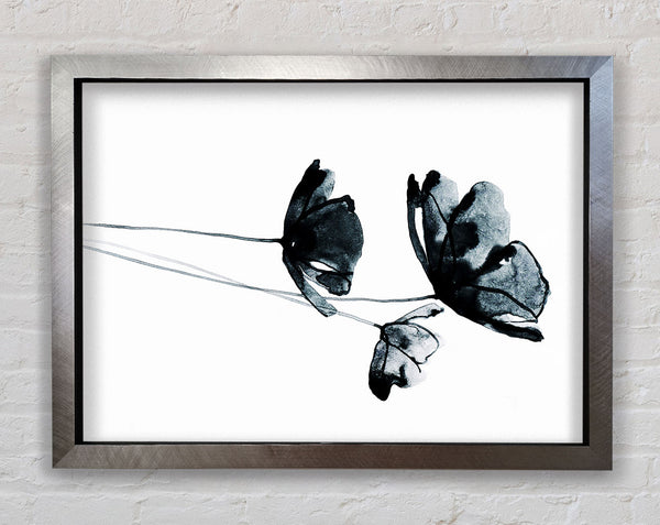 Black Poppy Abstract Framed Print