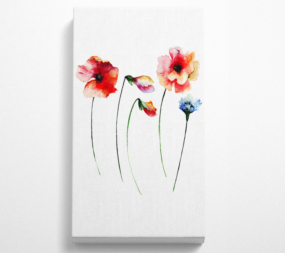  A Canvas Print of Poppy Stem Beauty Canvas Wall Art