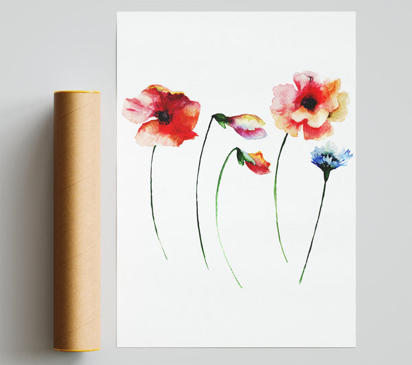 Poppy Stem Beauty Poster
