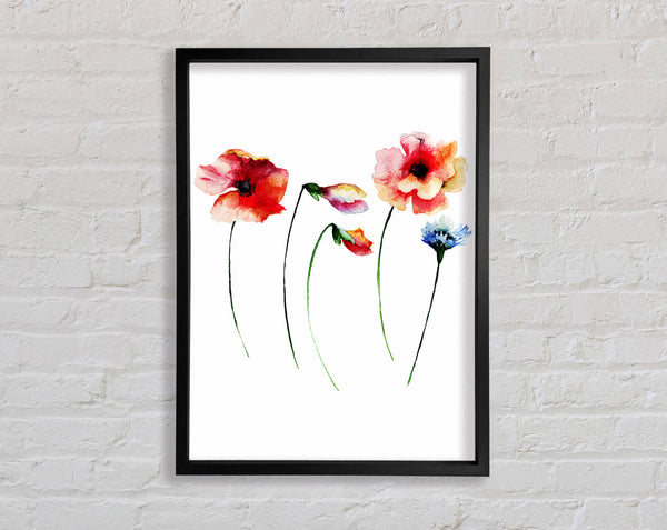 Poppy Stem Beauty Framed Print