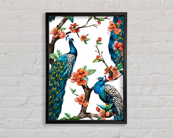 Peacock Branches Framed Print