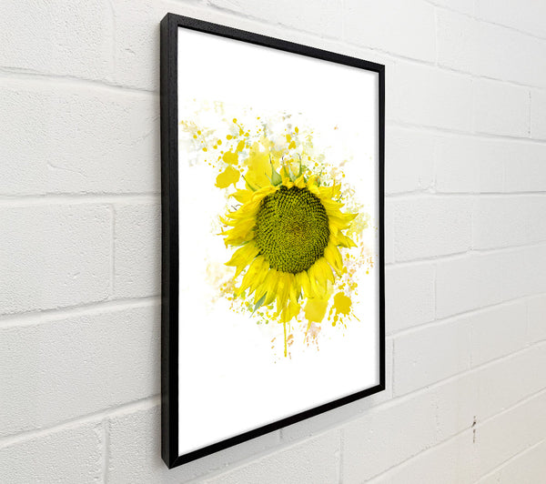 Sunflower Splash 2