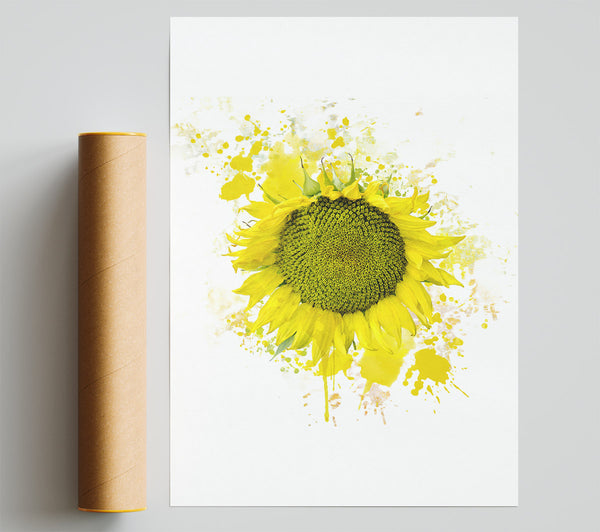 Sunflower Splash 2 Poster