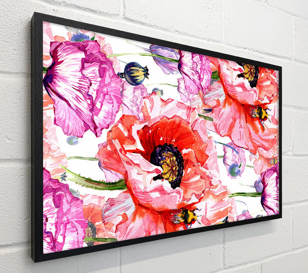 Carnation Poppy Garden