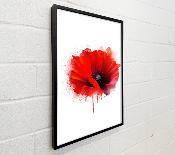 Poppy Melt