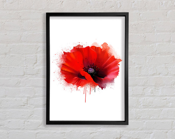 Poppy Melt Framed Print