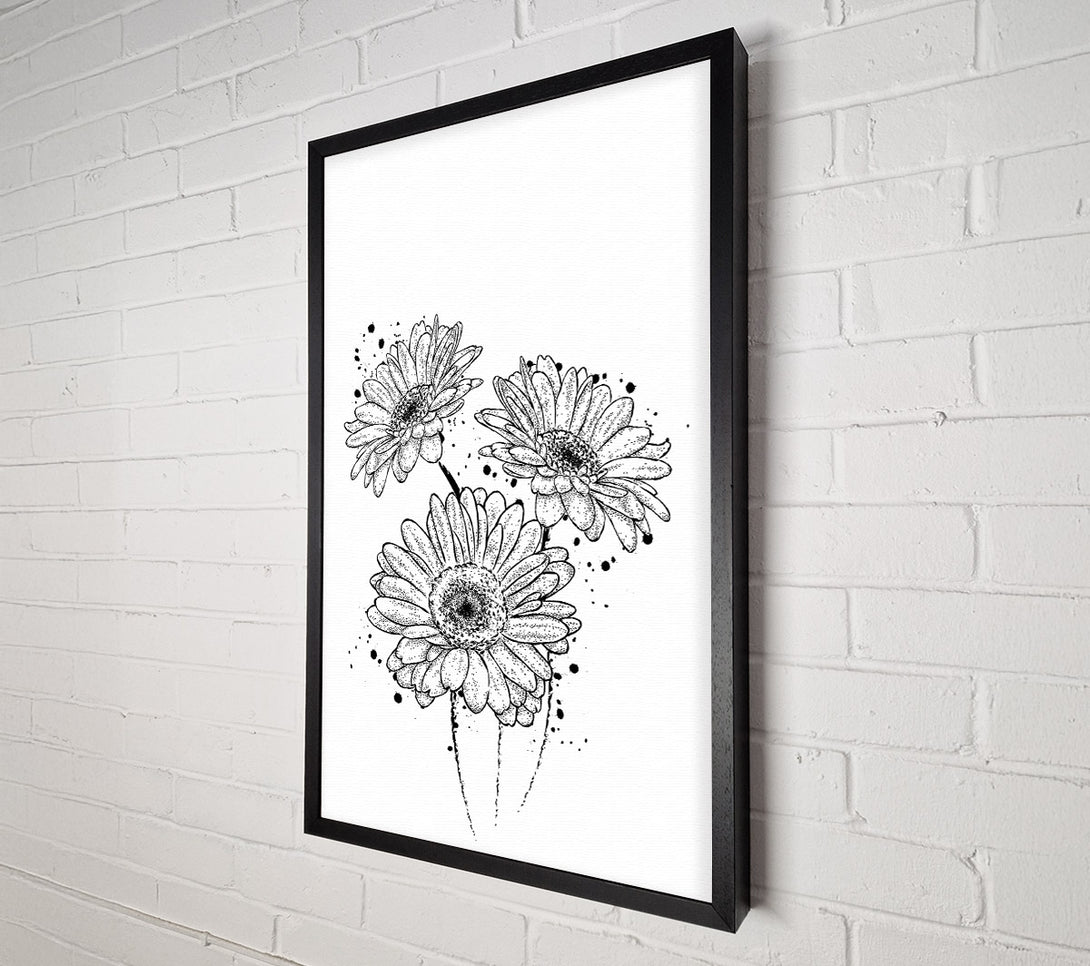  A Canvas Print of Black Daisy Splash Canvas Art
