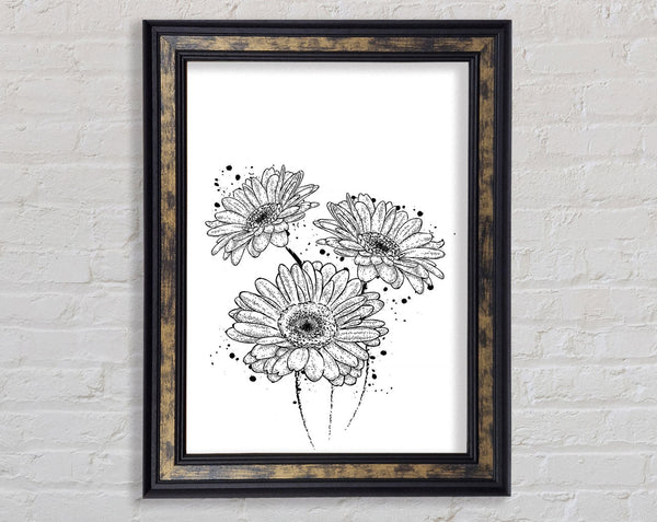 Black Daisy Splash Framed Print