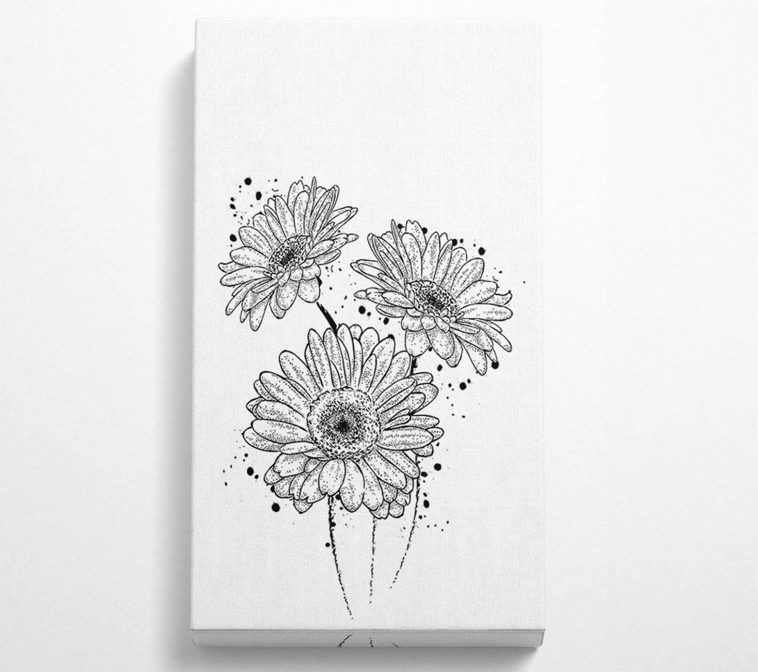  A Canvas Print of Black Daisy Splash Canvas Art
