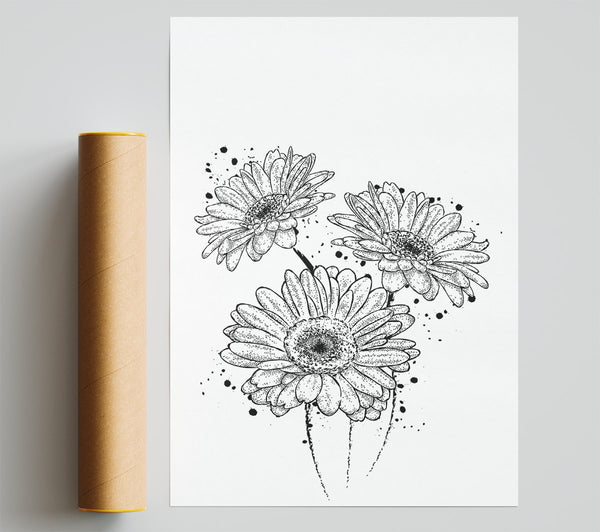 Black Daisy Splash Poster