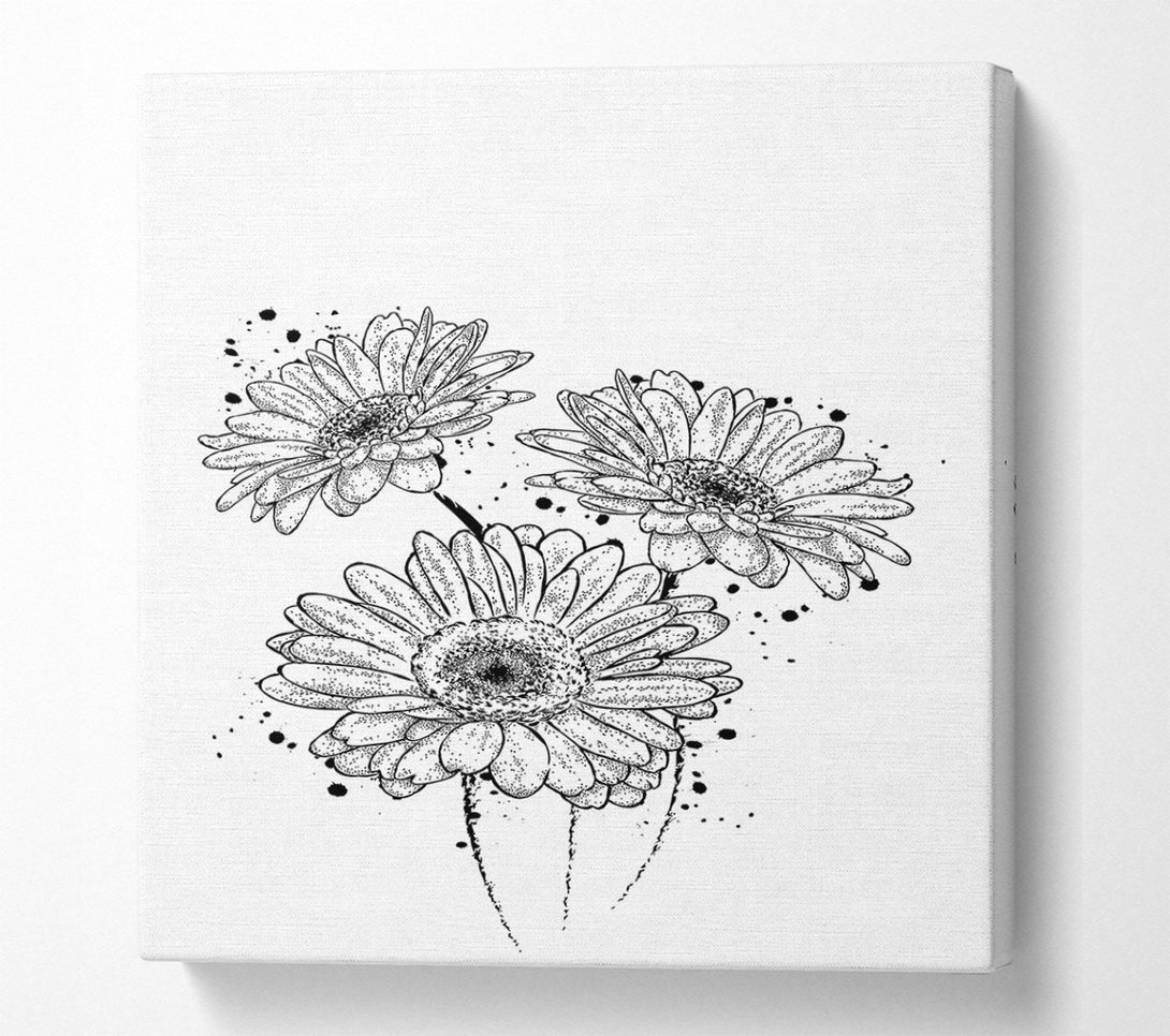  A Canvas Print of Black Daisy Splash Canvas Art