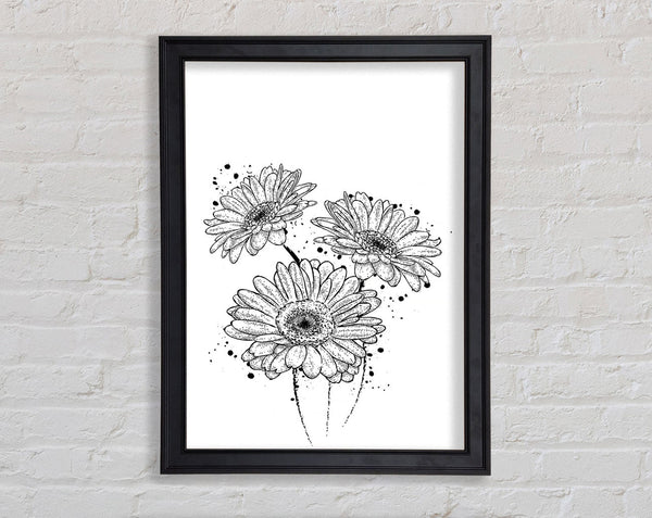 Black Daisy Splash Framed Print