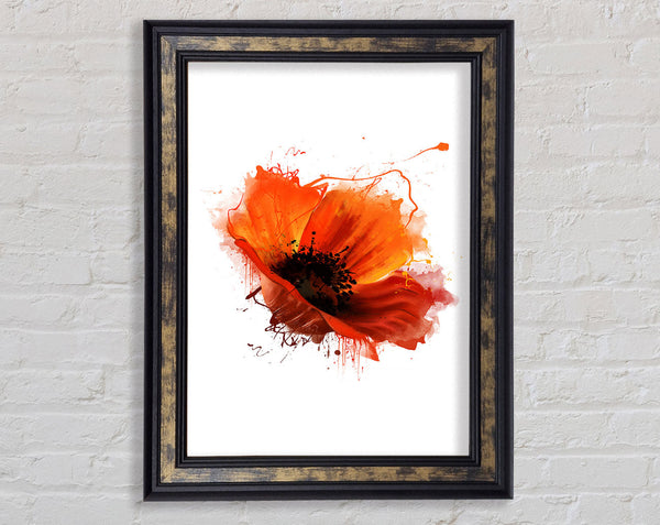 Red Poppy Head Framed Print
