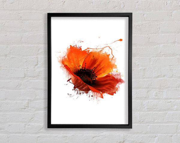 Red Poppy Head Framed Print