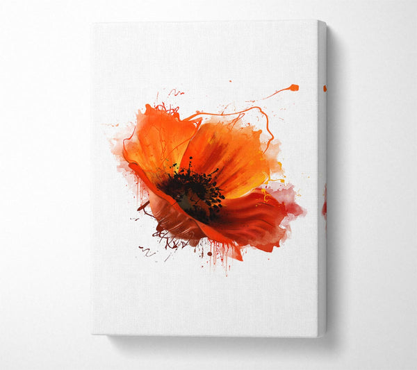  A Canvas Print of Red Poppy Head Canvas Art