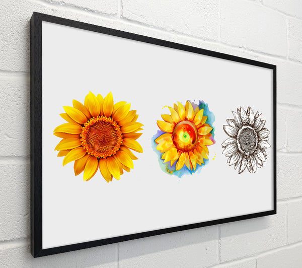 Sunflower Trio