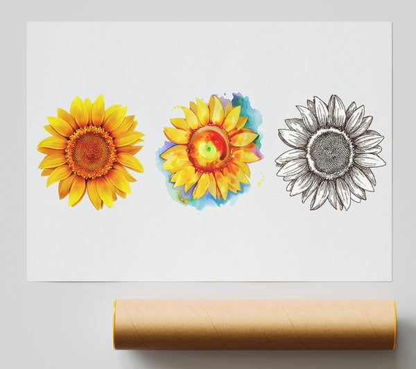 Sunflower Trio Print