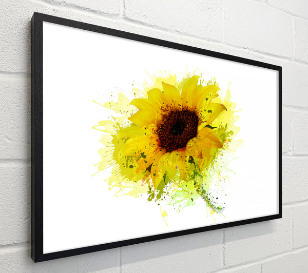 Sunflower Splash 1