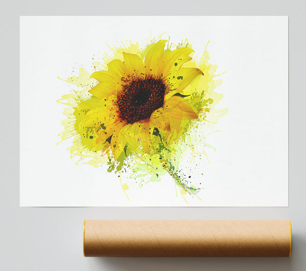Sunflower Splash 1 Giclee Print