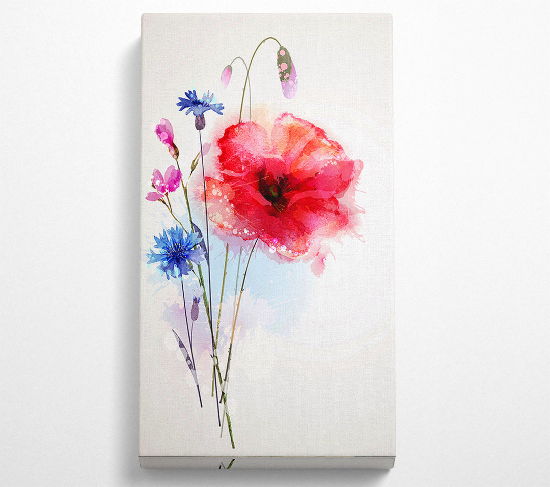  A Canvas Print of Poppy Magic Canvas Art