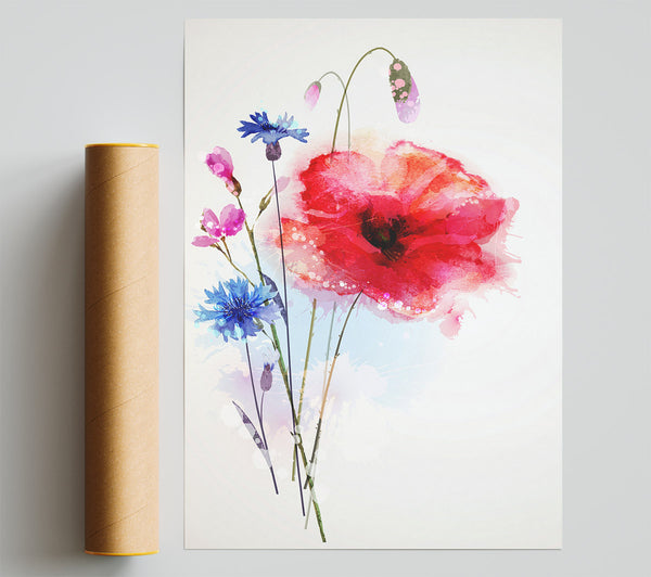 Poppy Magic Print