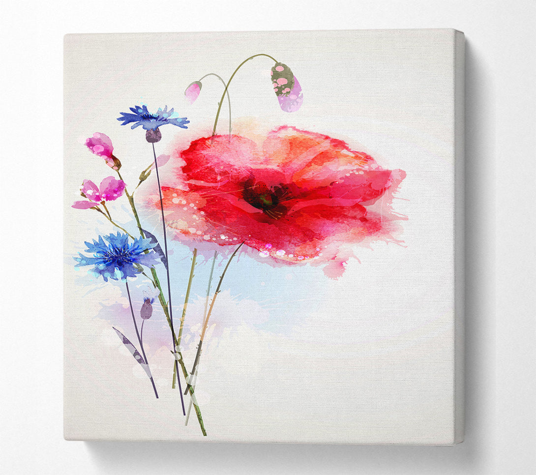  A Canvas Print of Poppy Magic Canvas Art