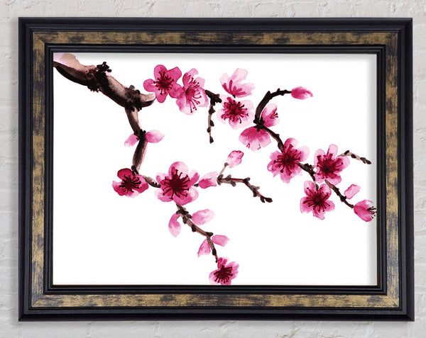 Branch Of A Cherry Blossom Framed Print