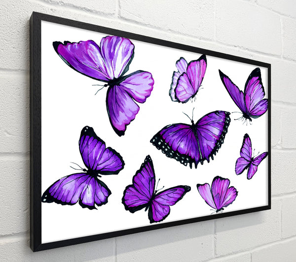 Purple Butterfly Frenzy