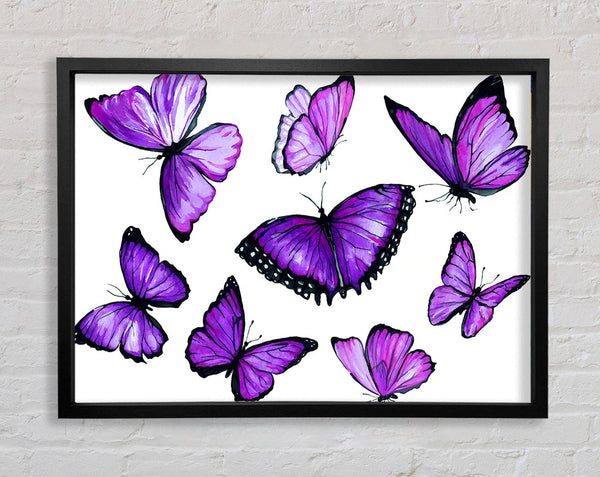 Purple Butterfly Frenzy Framed Print