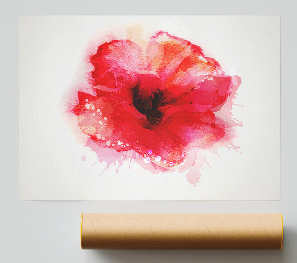 Delicate Poppy Poster