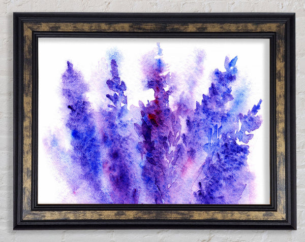 Larkspur Beauty Framed Print
