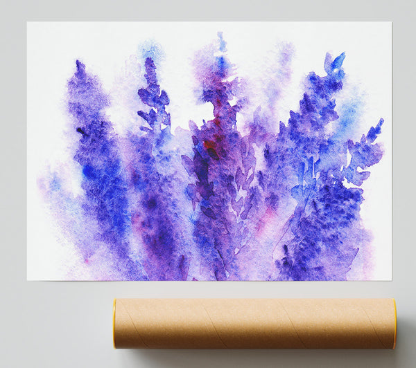 Larkspur Beauty Poster