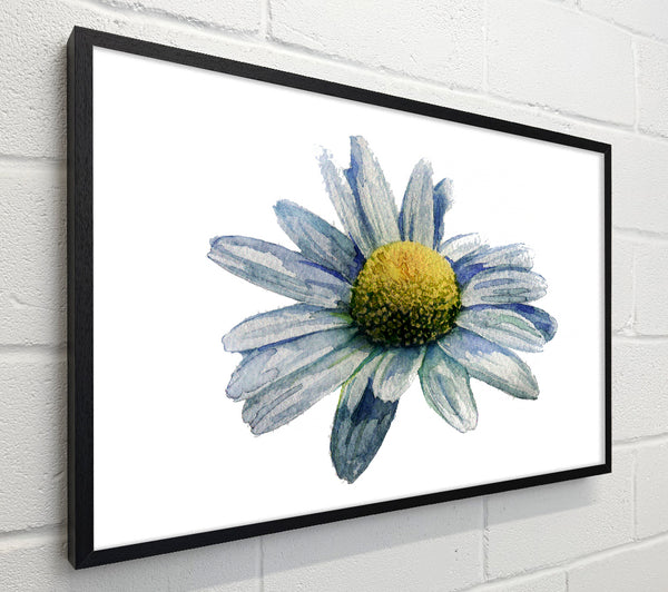 Single Daisy Head