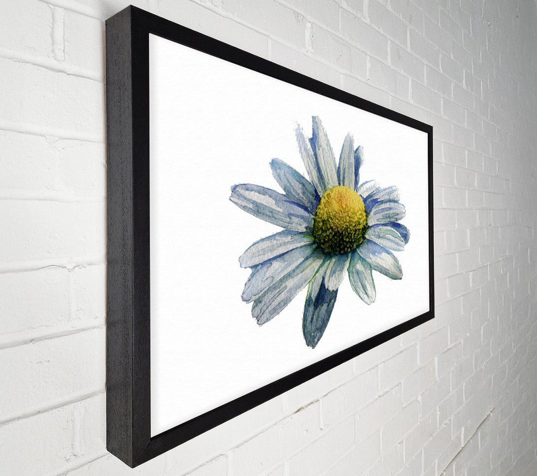  A Canvas Print of Single Daisy Head Canvas Print