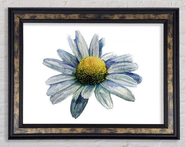 Single Daisy Head Framed Print
