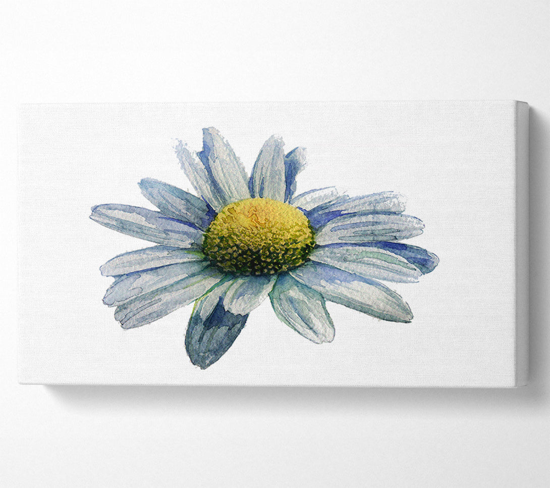  A Canvas Print of Single Daisy Head Canvas Print