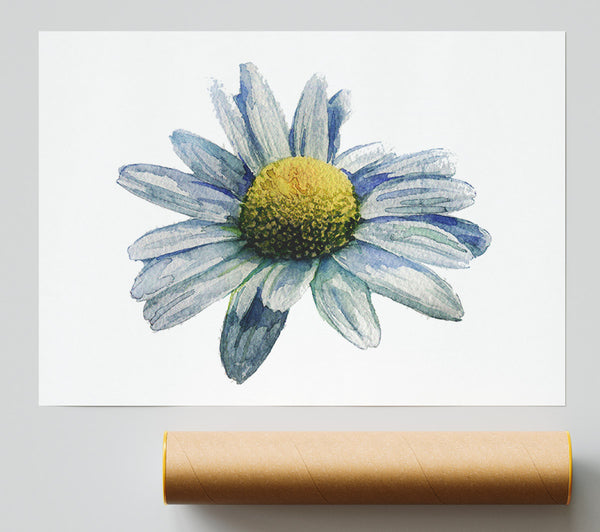 Single Daisy Head Giclee Print