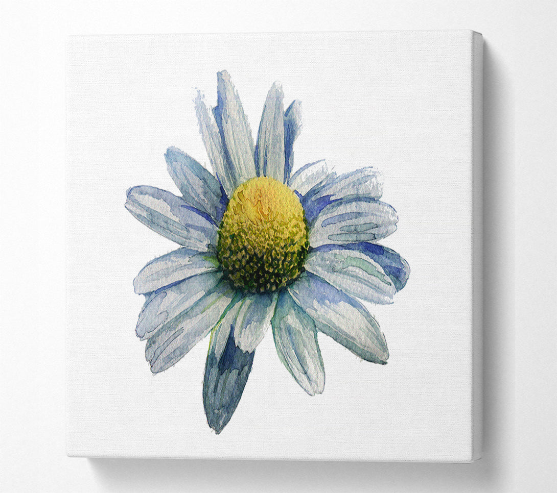  A Canvas Print of Single Daisy Head Canvas Print