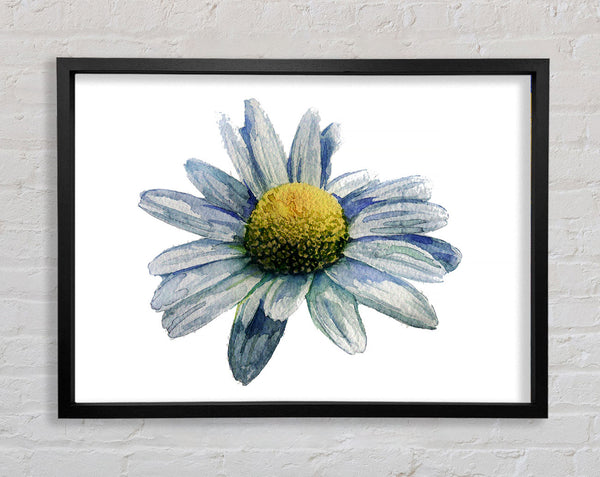 Single Daisy Head Framed Print