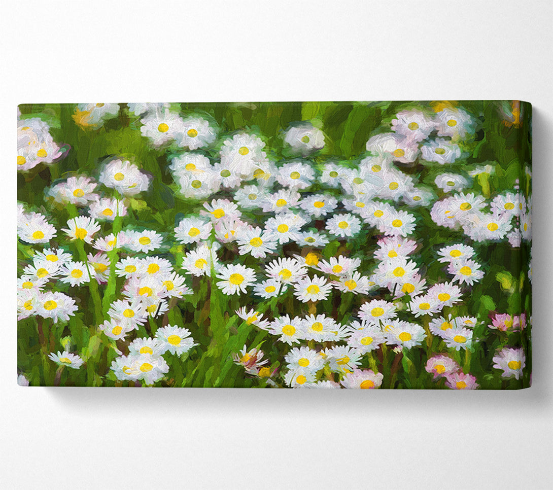  A Canvas Print of White Daisy Heaven Canvas Print