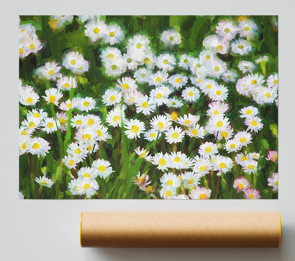 White Daisy Heaven Giclee Print