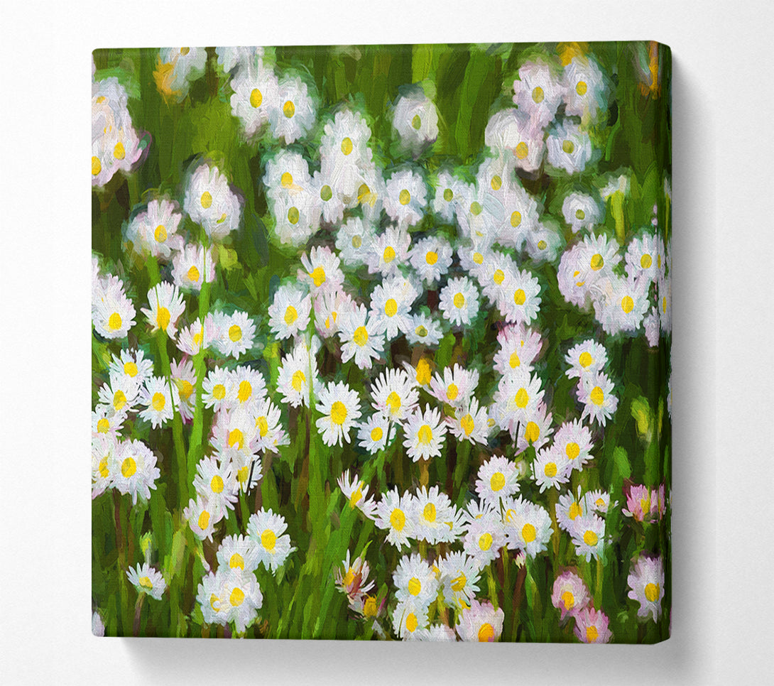  A Canvas Print of White Daisy Heaven Canvas Print