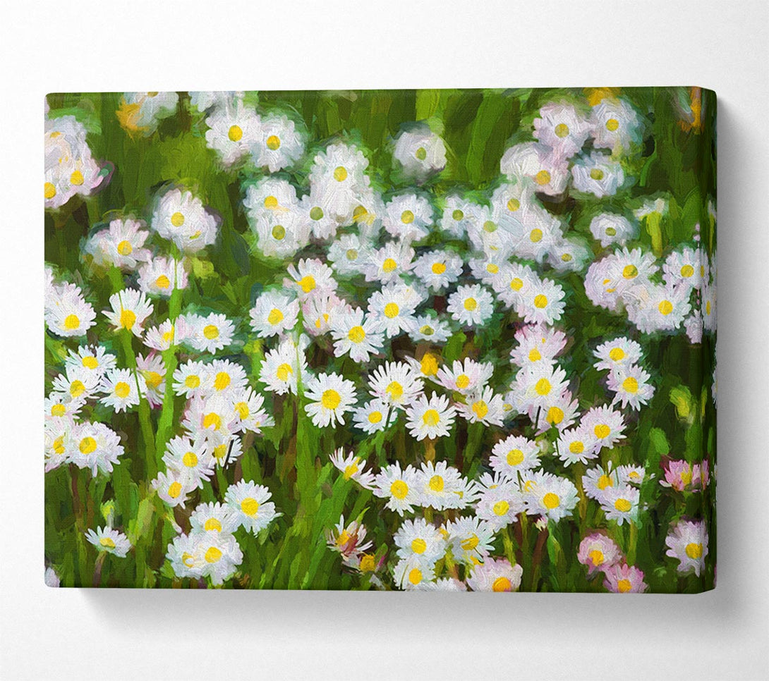  A Canvas Print of White Daisy Heaven Canvas Print