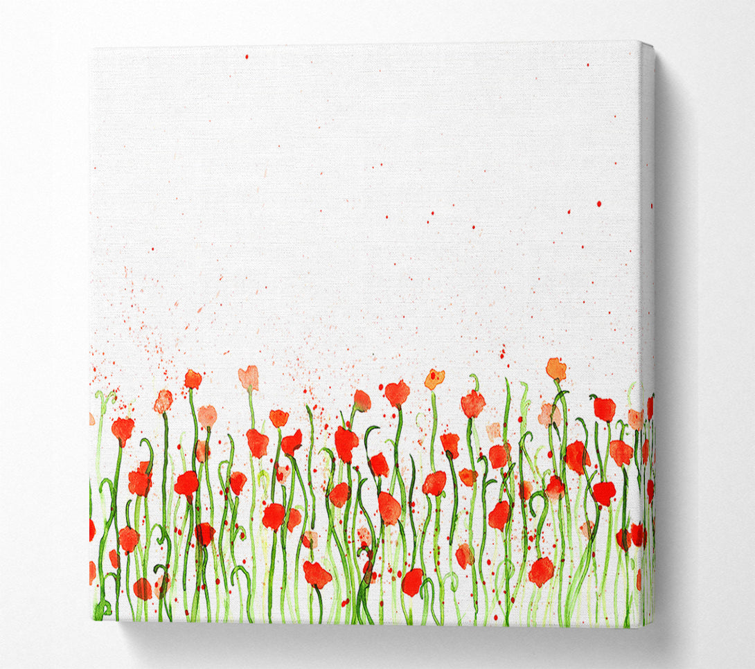 A Canvas Print of Red Poppy Garden Splash Canvas Art