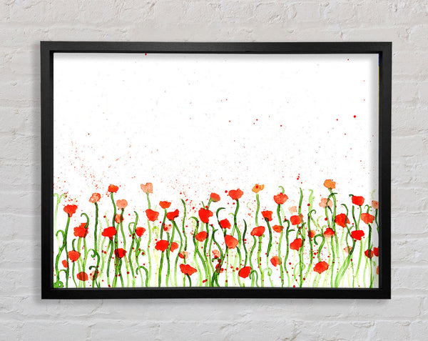 Red Poppy Garden Splash Framed Print
