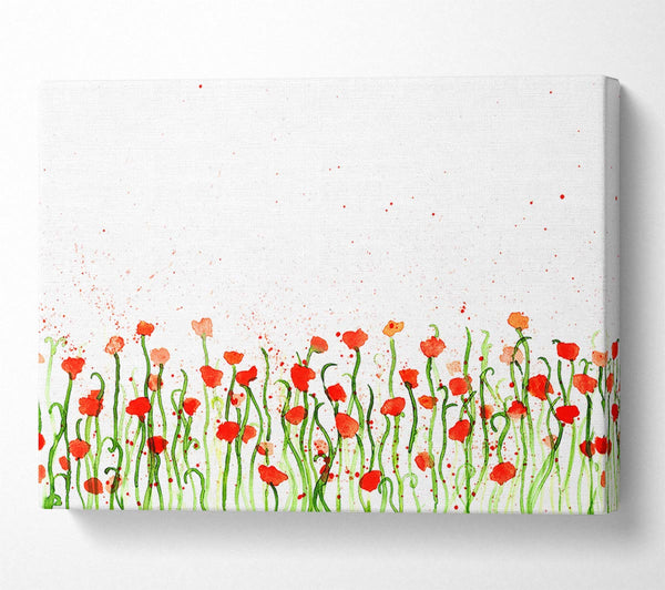  A Canvas Print of Red Poppy Garden Splash Canvas Art