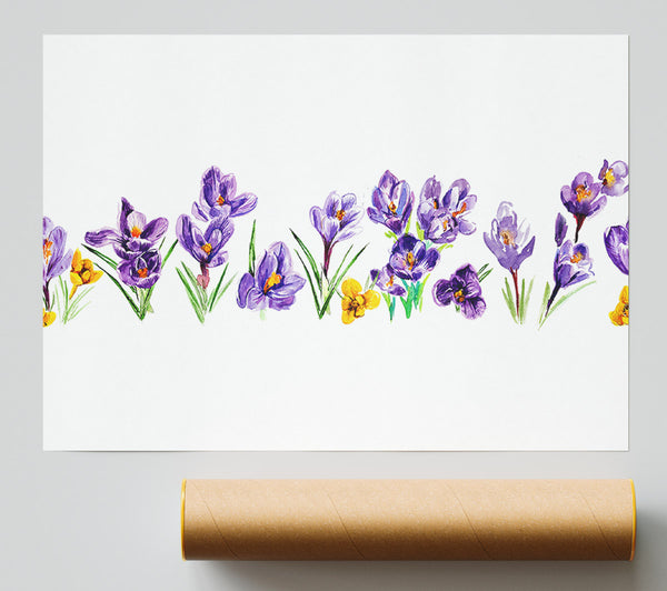 Purple Crocus Giclee Print
